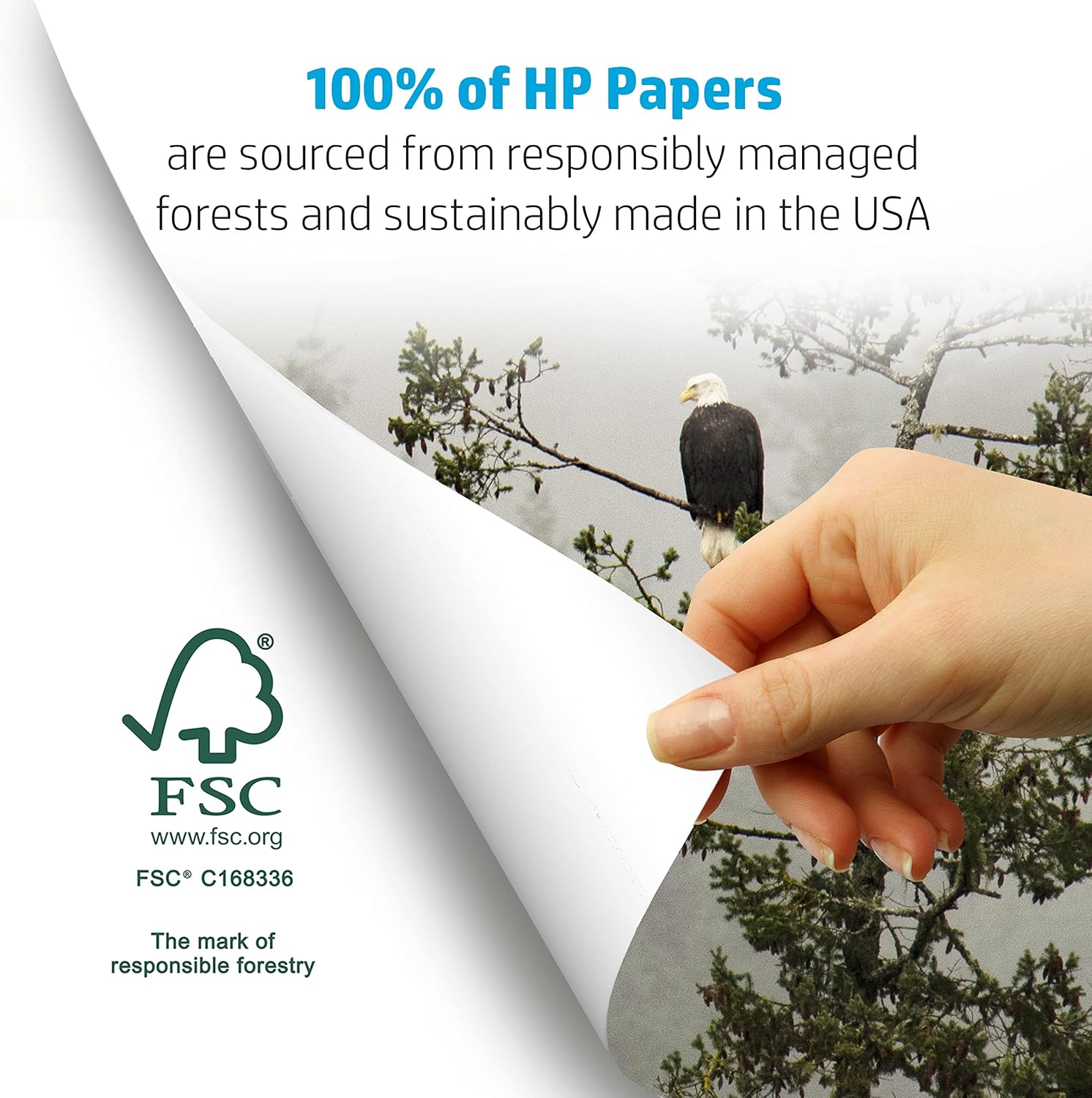 HP Printer Paper | 8.5 X 11 Paper | Copy &Print 20 Lb | 1 Ream Case - 500 Sheets| 92 Bright | Made in USA - FSC Certified | 200060